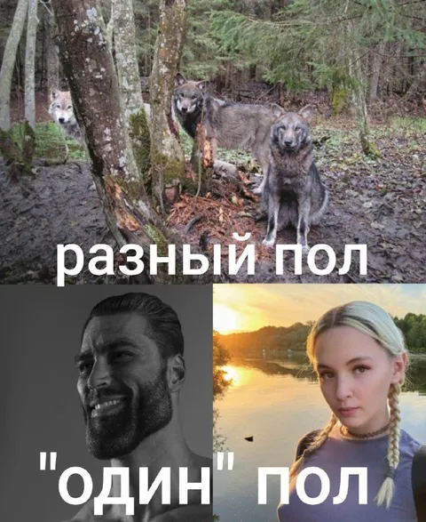Разный пол — один пол