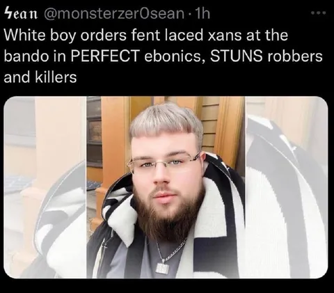 Perfect Ebonics Stuns Robbers