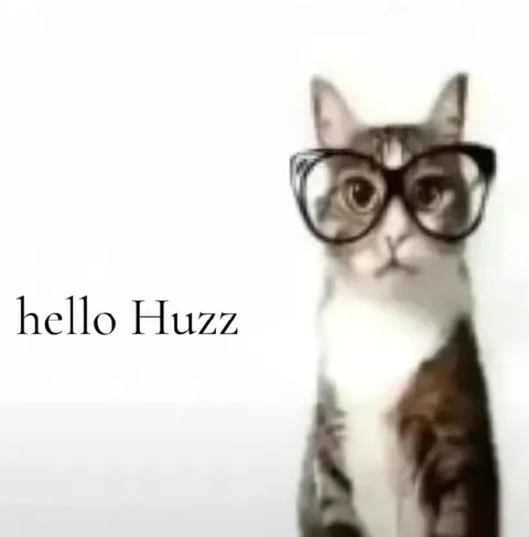 Hello Huzz Nerd Cat