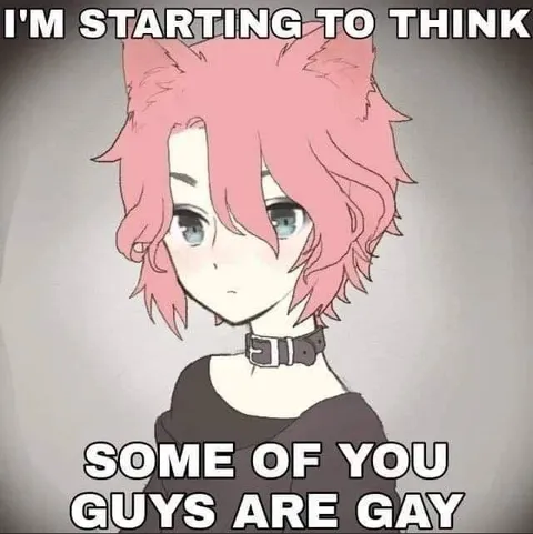Some of You Guys Are Gay