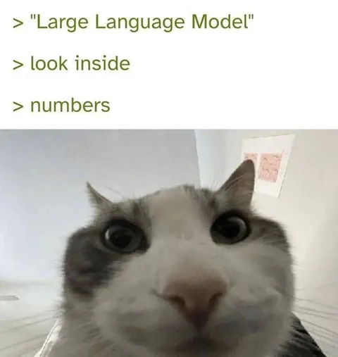 Large Language Model Looks Inside Numbers