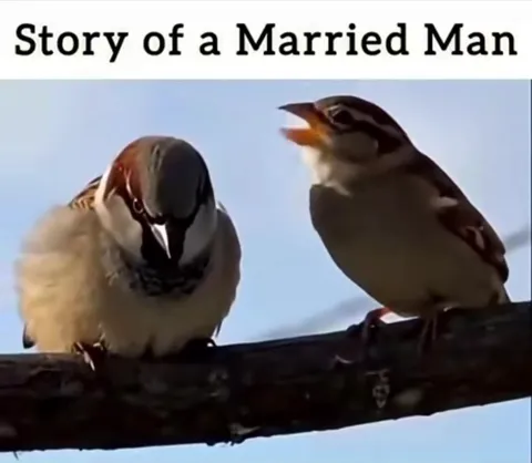 Story of a Married Man