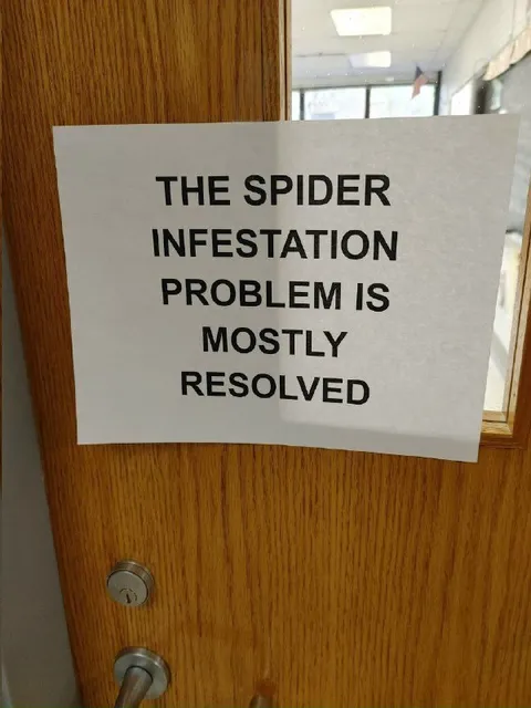 Spider Infestation Mostly Resolved