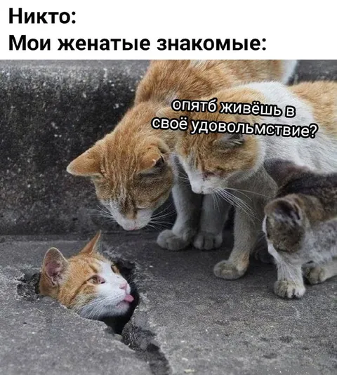 Женатые знакомые и удовольствие