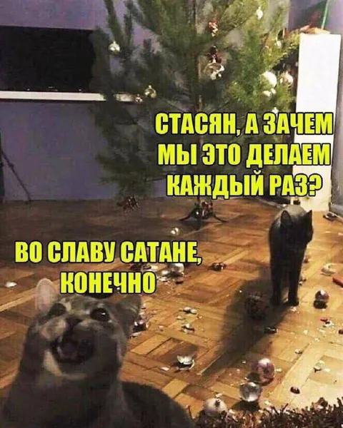 Коты снова уничтожили ёлку