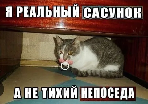 Реальный сосунок, а не непоседа