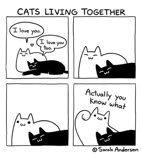 Cats Living Together