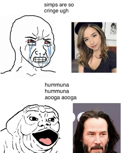 Simps Are So Cringe Ugh