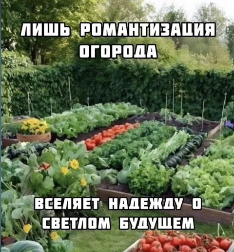 Романтизация огорода