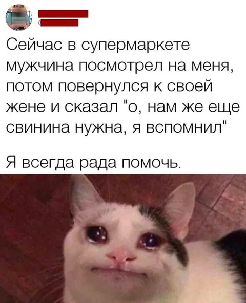 Кот, который всегда рад помочь