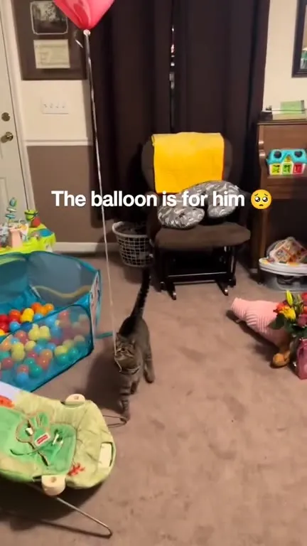 Cat Chases His Balloon
