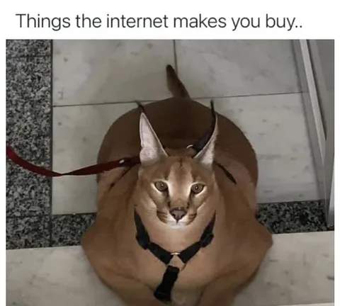 Things the Internet Makes You Buy