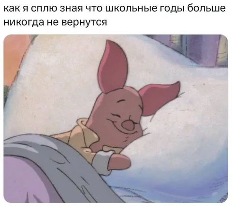 Школьные годы больше не вернутся