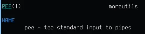 Pee Standard Input to Pipes
