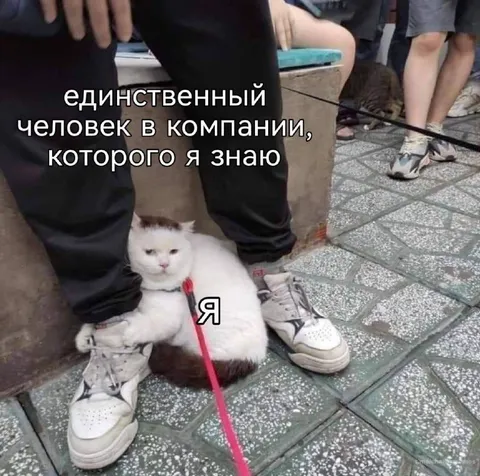 Единственный знакомый в компании