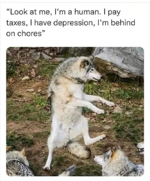 Wolf Pretending to Be Human