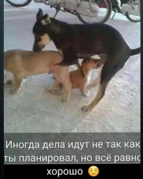 Иногда всё равно хорошо