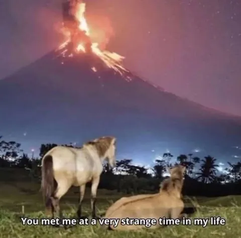 You met me at a very strange time