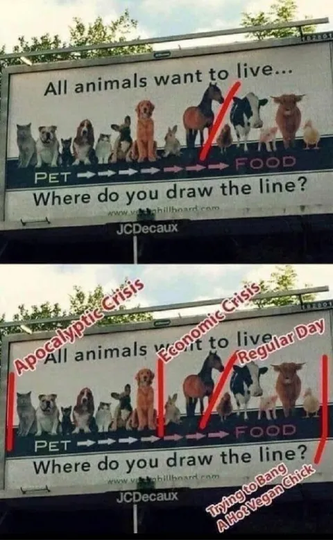 Where Do You Draw the Line?