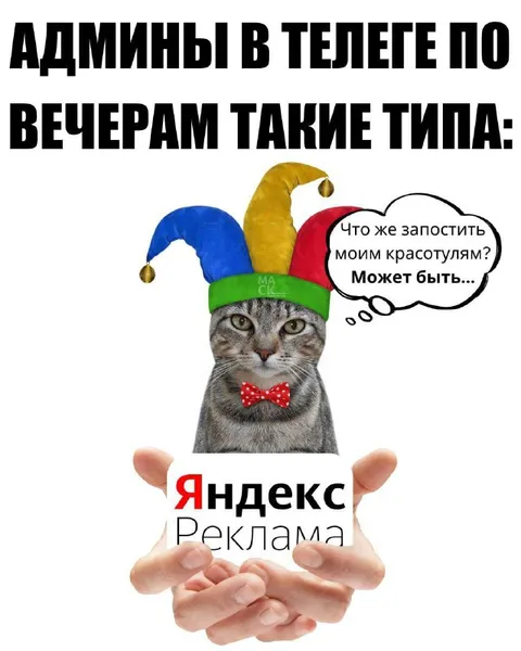 Админы в телеге по вечерам