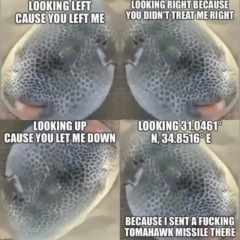 Fish Sends a Tomahawk Missile