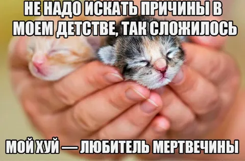 Не надо искать причины