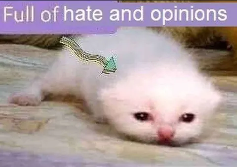 Full of Hate and Opinions