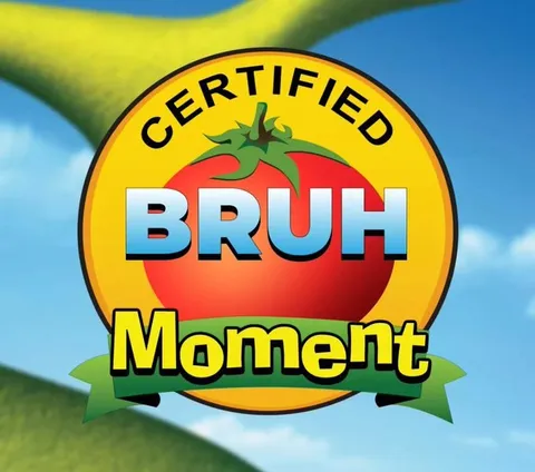 Certified Bruh Moment