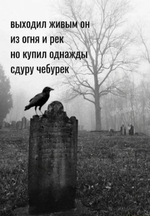 Чебурек оказался смертельным