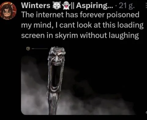 Skyrim Loading Screen Ruined