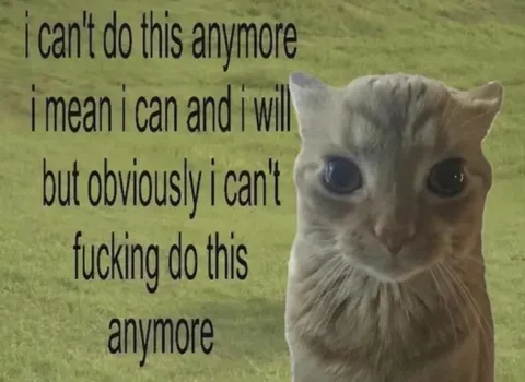I Can't Do This Anymore Cat
