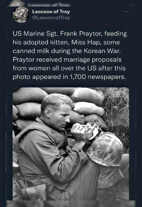 Marine Sergeant Feeding Kitten