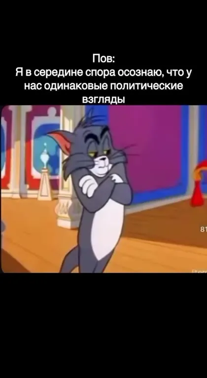 Одинаковые политические взгляды