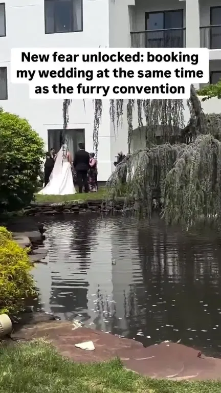 Wedding Crashes Into Furry Convention
