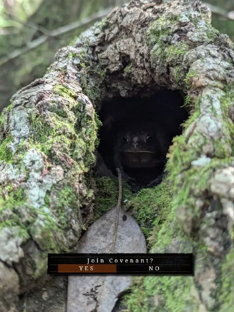Join Covenant Tree Creature