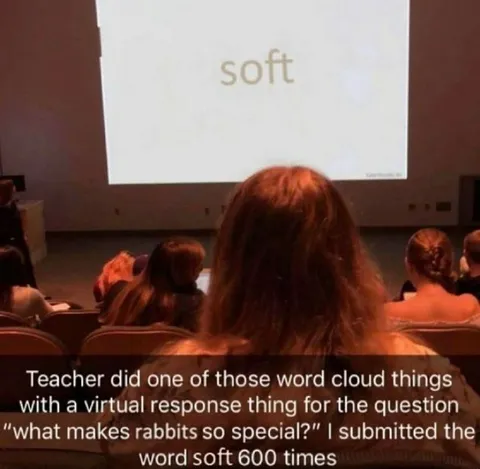 Rabbits Are So Soft