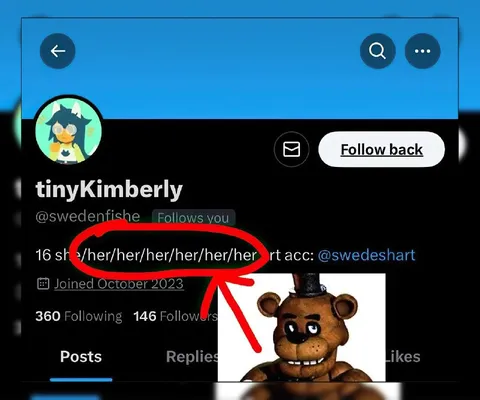 Too Many She Her Pronouns