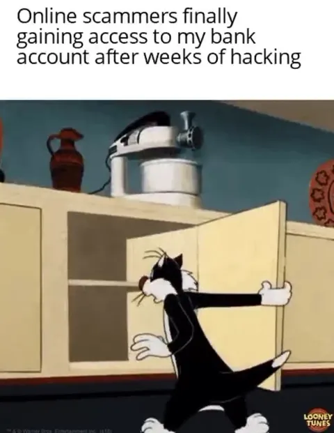 Scammers Finally Get In