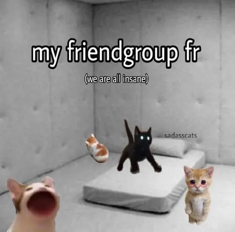 My Friend Group Is Insane