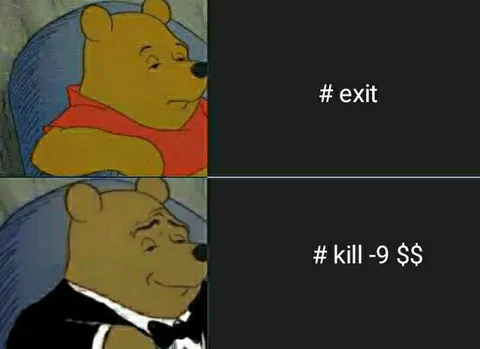 Winnie the Pooh Kill Command