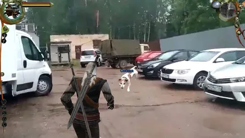 Ведьмак идёт за собакой