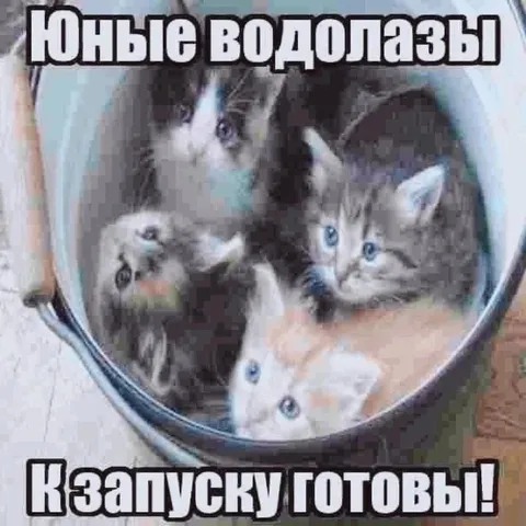 Юные водолазы готовы к запаху