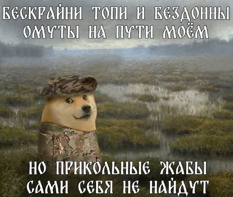 Прикольные жабы сами себя не найдут
