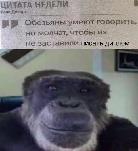 Обезьяна не хочет писать диплом