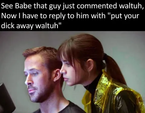 Put Your Dick Away Waltuh