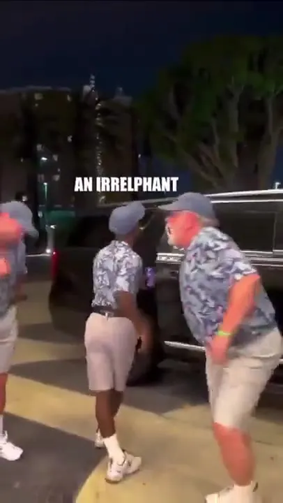 Irrelevant Elephant Dad Jokes