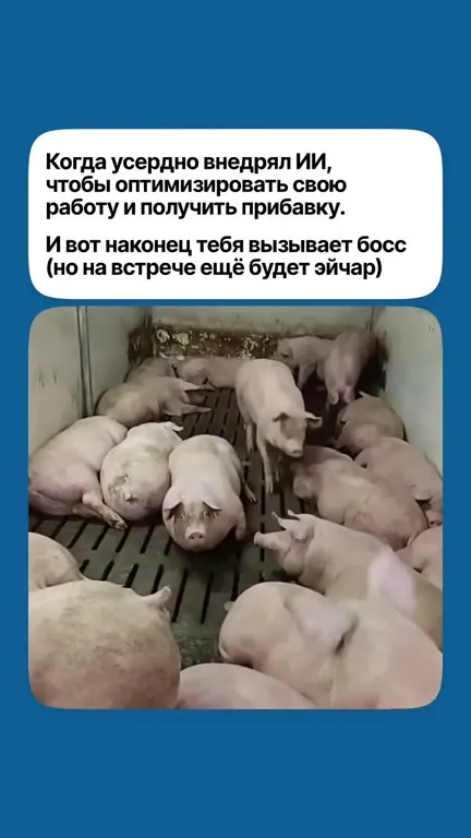 Босс на встрече с эйчаром