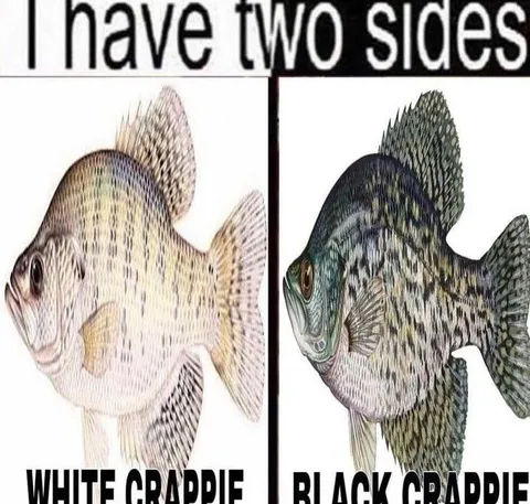 I have two sides white black crappie
