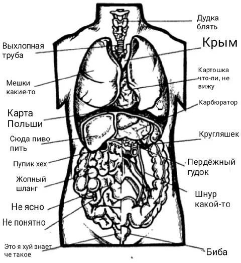 Абсурдная карта человеческого тела