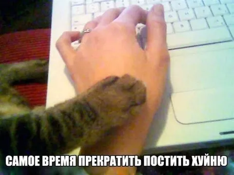 Самое время прекратить постить хуйню